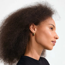 Load image into Gallery viewer, COMING SOON | PILGRIM KAIROA EARRING GOLD