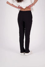 Load image into Gallery viewer, NES SECTOR SPLIT PLANT BLACK