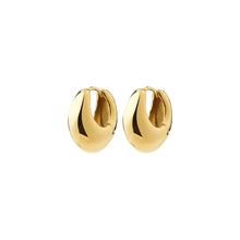 Load image into Gallery viewer, COMING SOON | PILGRIM KAIROA EARRING GOLD
