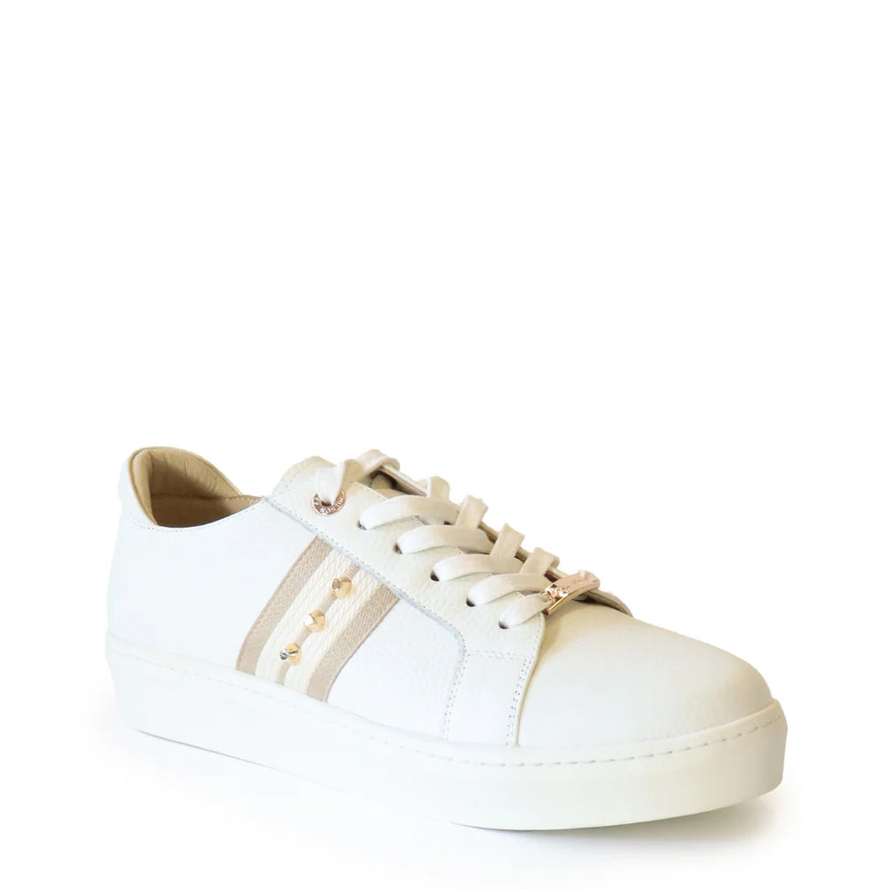 KATHRYN WILSON CAINE TRAINER
