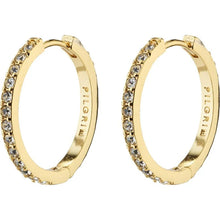 Load image into Gallery viewer, PILGRIM GOLD EBNA EARRINGS
