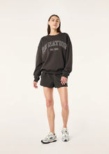 Load image into Gallery viewer, P.E NATION CORE SWEAT SMOKESTONE
