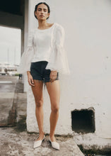 Load image into Gallery viewer, CHAOS &amp; HARMONY DYNASTY FLAT OYSTER
