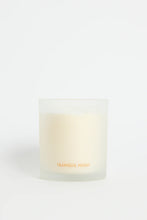 Load image into Gallery viewer, WILLOW &amp; MAE TRANQUIL NIGHT SPICED SANDALWOOD + AMBER 230G SOY CANDLE TAN
