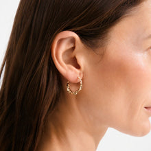 Load image into Gallery viewer, COMING SOON | PILGRIM HERE HOOP GOLD
